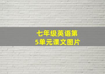 七年级英语第5单元课文图片