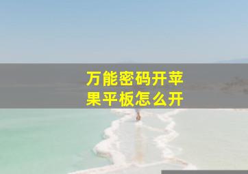 万能密码开苹果平板怎么开