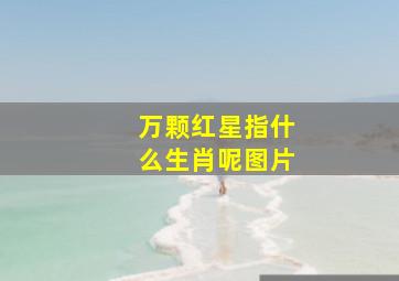 万颗红星指什么生肖呢图片