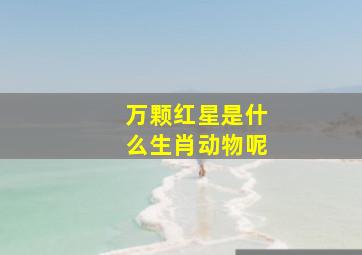 万颗红星是什么生肖动物呢