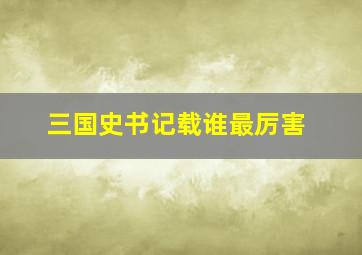 三国史书记载谁最厉害