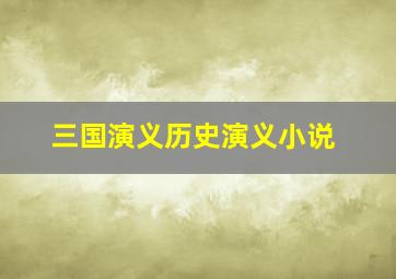 三国演义历史演义小说