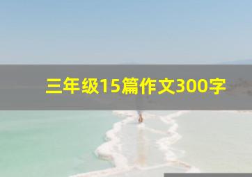 三年级15篇作文300字