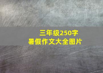 三年级250字暑假作文大全图片