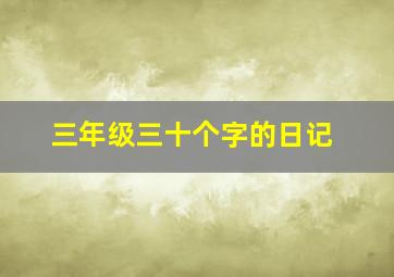 三年级三十个字的日记