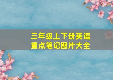 三年级上下册英语重点笔记图片大全