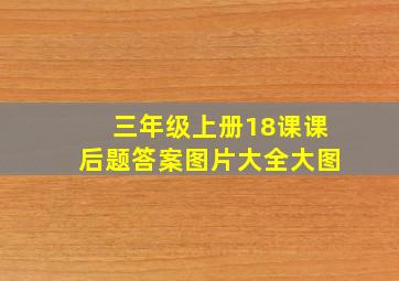 三年级上册18课课后题答案图片大全大图