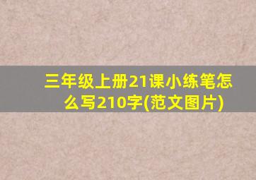 三年级上册21课小练笔怎么写210字(范文图片)