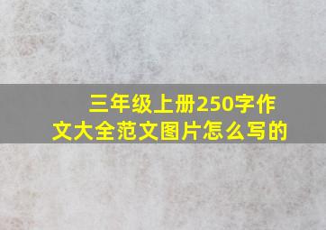 三年级上册250字作文大全范文图片怎么写的