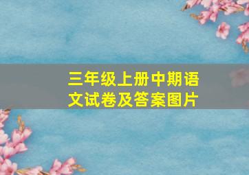 三年级上册中期语文试卷及答案图片