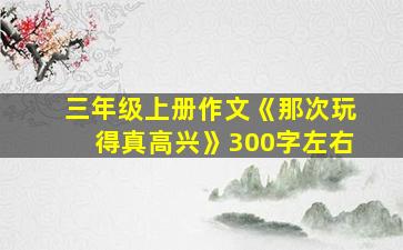 三年级上册作文《那次玩得真高兴》300字左右