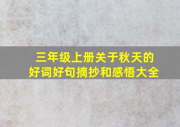 三年级上册关于秋天的好词好句摘抄和感悟大全