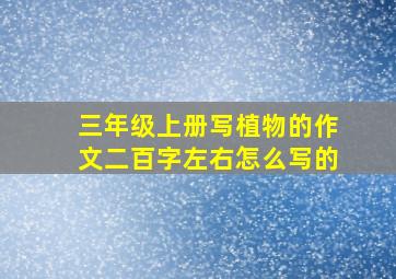 三年级上册写植物的作文二百字左右怎么写的