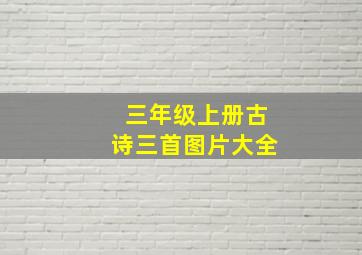 三年级上册古诗三首图片大全