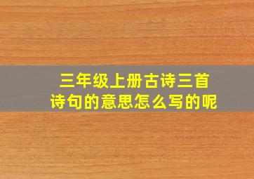 三年级上册古诗三首诗句的意思怎么写的呢