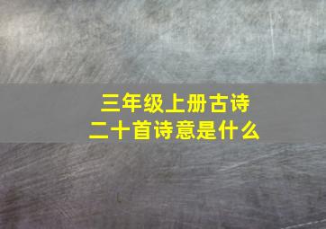 三年级上册古诗二十首诗意是什么