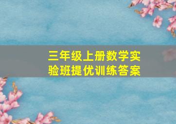 三年级上册数学实验班提优训练答案