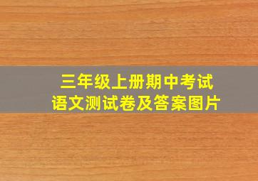 三年级上册期中考试语文测试卷及答案图片