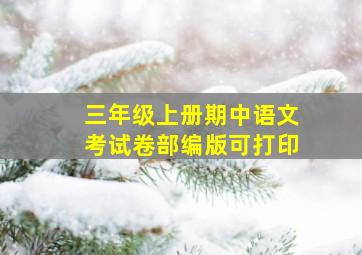 三年级上册期中语文考试卷部编版可打印