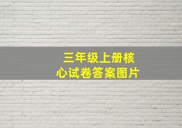 三年级上册核心试卷答案图片