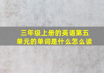 三年级上册的英语第五单元的单词是什么怎么读