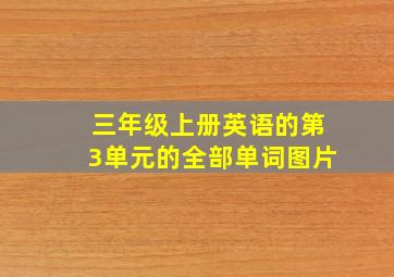 三年级上册英语的第3单元的全部单词图片