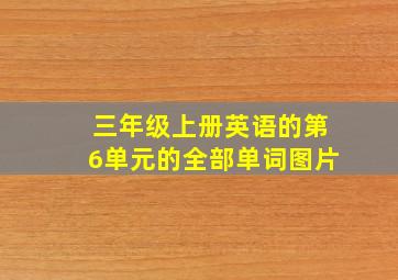 三年级上册英语的第6单元的全部单词图片