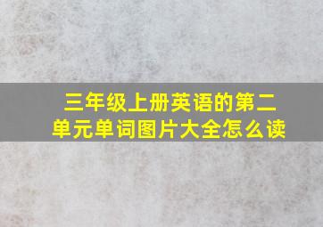 三年级上册英语的第二单元单词图片大全怎么读