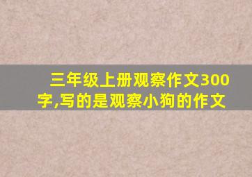 三年级上册观察作文300字,写的是观察小狗的作文