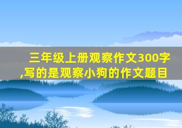 三年级上册观察作文300字,写的是观察小狗的作文题目