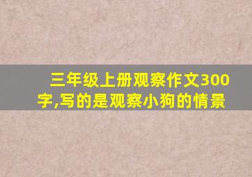 三年级上册观察作文300字,写的是观察小狗的情景