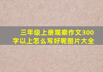 三年级上册观察作文300字以上怎么写好呢图片大全