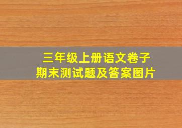 三年级上册语文卷子期末测试题及答案图片