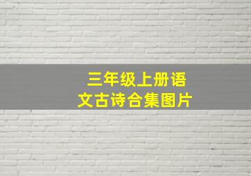 三年级上册语文古诗合集图片