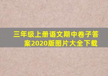 三年级上册语文期中卷子答案2020版图片大全下载