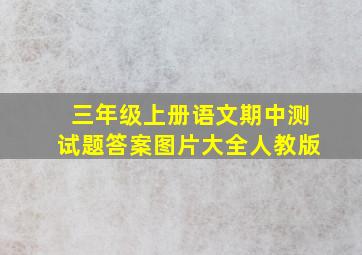 三年级上册语文期中测试题答案图片大全人教版