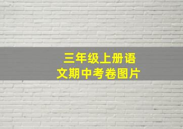 三年级上册语文期中考卷图片