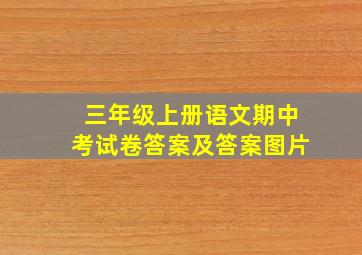 三年级上册语文期中考试卷答案及答案图片