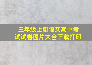 三年级上册语文期中考试试卷图片大全下载打印