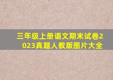 三年级上册语文期末试卷2023真题人教版图片大全