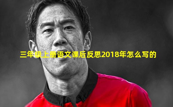 三年级上册语文课后反思2018年怎么写的