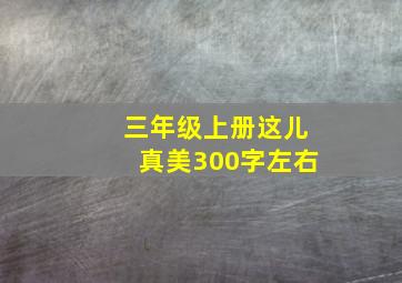 三年级上册这儿真美300字左右