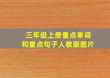 三年级上册重点单词和重点句子人教版图片