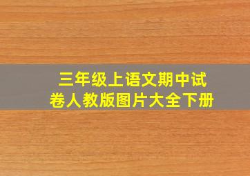 三年级上语文期中试卷人教版图片大全下册