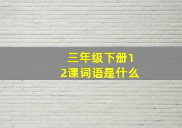 三年级下册12课词语是什么