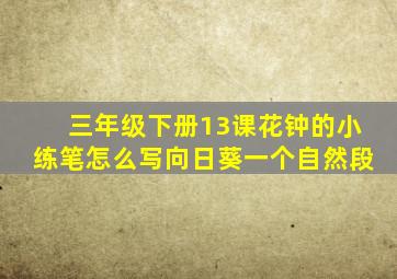 三年级下册13课花钟的小练笔怎么写向日葵一个自然段