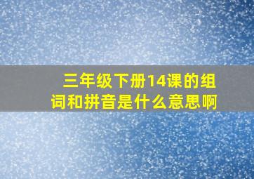 三年级下册14课的组词和拼音是什么意思啊