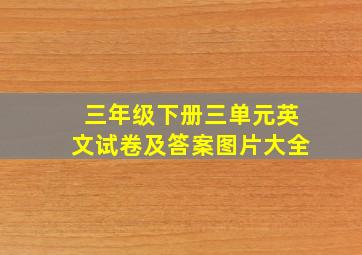 三年级下册三单元英文试卷及答案图片大全