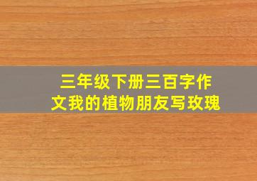 三年级下册三百字作文我的植物朋友写玫瑰