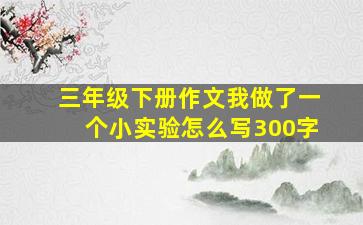 三年级下册作文我做了一个小实验怎么写300字